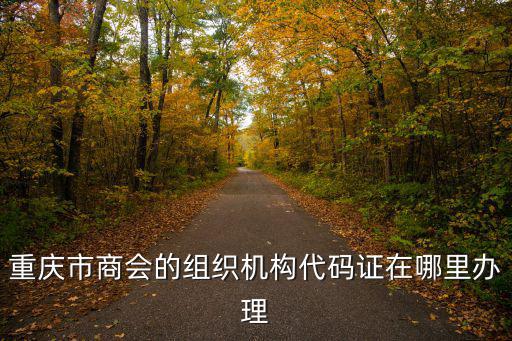 重慶市商會的組織機構代碼證在哪里辦理