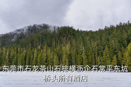 東莞市石龍茶山石排橫瀝企石常平東坑橋頭所有酒店