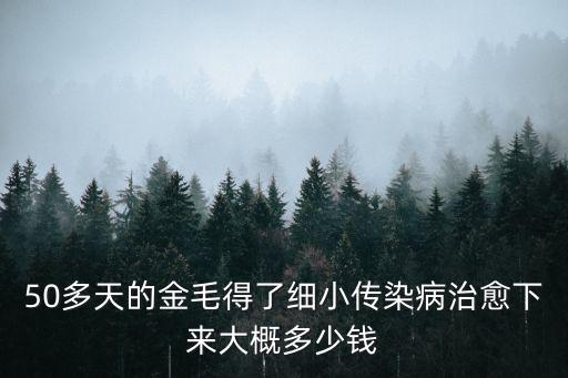 50多天的金毛得了細小傳染病治愈下來大概多少錢