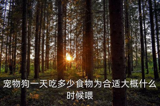 寵物狗一天吃多少食物為合適大概什么時候喂