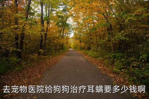 去寵物醫(yī)院給狗狗治療耳螨要多少錢啊