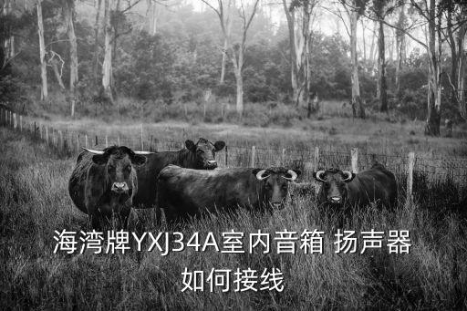 海灣牌YXJ34A室內(nèi)音箱 揚(yáng)聲器如何接線