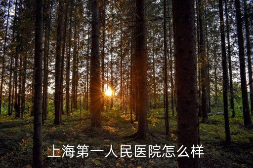上海第一人民醫(yī)院怎么樣