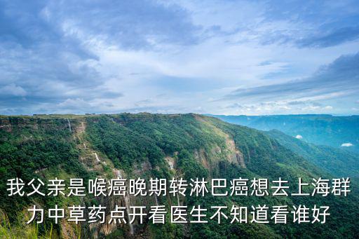 我父親是喉癌晚期轉(zhuǎn)淋巴癌想去上海群力中草藥點(diǎn)開看醫(yī)生不知道看誰好