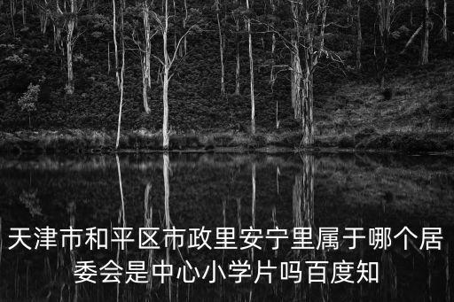 天津市和平區(qū)市政里安寧里屬于哪個(gè)居委會(huì)是中心小學(xué)片嗎百度知