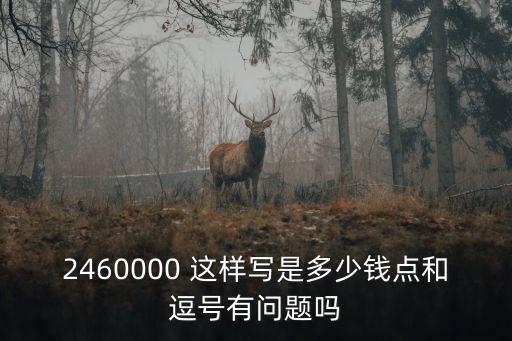 2460000 這樣寫是多少錢點和逗號有問題嗎