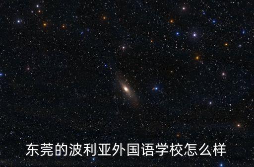 東莞的波利亞外國語學(xué)校怎么樣