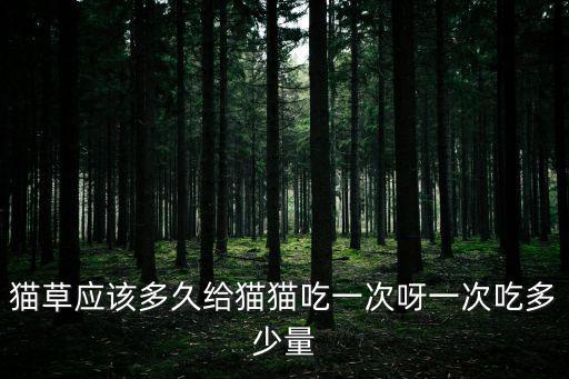 貓一次要吃多少貓草，小貓一次該喂多少貓料