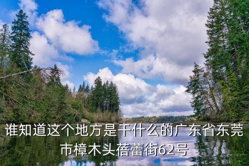 誰知道這個地方是干什么的廣東省東莞市樟木頭蓓蕾街62號