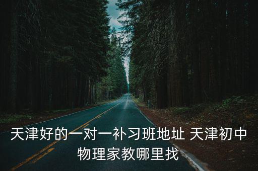 天津好的一對(duì)一補(bǔ)習(xí)班地址 天津初中物理家教哪里找