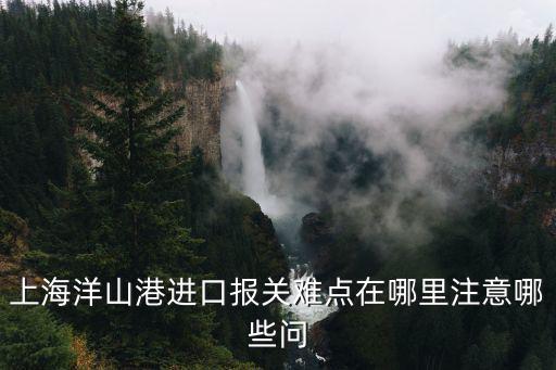 上海洋山港進口報關難點在哪里注意哪些問