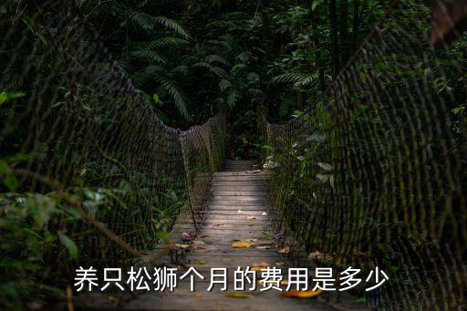 松獅5 8月 多少錢，養只松獅個月的費用是多少