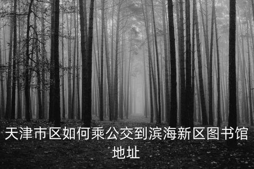 天津市區如何乘公交到濱海新區圖書館地址