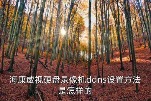 海康威視硬盤錄像機ddns設置方法是怎樣的