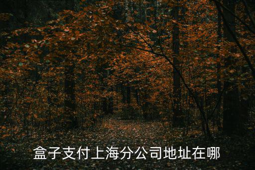 盒子支付上海分公司地址在哪