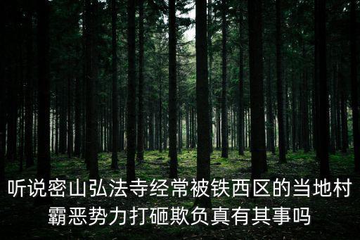 聽說密山弘法寺經(jīng)常被鐵西區(qū)的當(dāng)?shù)卮灏詯簞?shì)力打砸欺負(fù)真有其事嗎