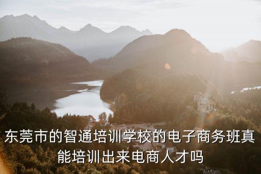 東莞市的智通培訓學校的電子商務班真能培訓出來電商人才嗎