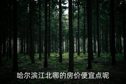 哈爾濱江北哪的房價便宜點呢