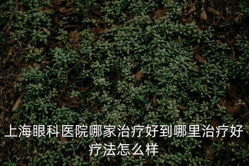 上海眼科醫院哪家治療好到哪里治療好療法怎么樣