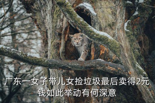 深圳女子帶一雙兒女，深圳一母親因兒子脾氣暴躁帶著一雙兒女撿垃圾這樣的教育方式可取嗎