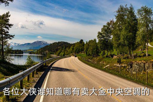 各位大俠誰知道哪有賣大金中央空調的