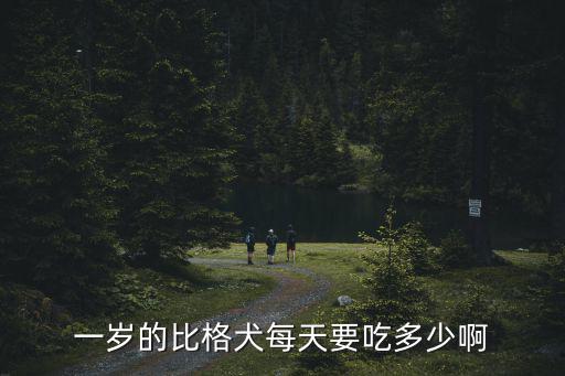 一歲的比格犬每天要吃多少啊