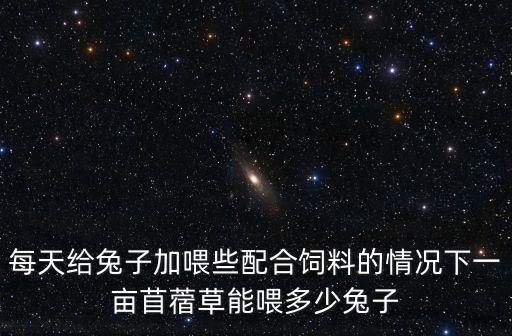 每天給兔子加喂些配合飼料的情況下一畝苜蓿草能喂多少兔子