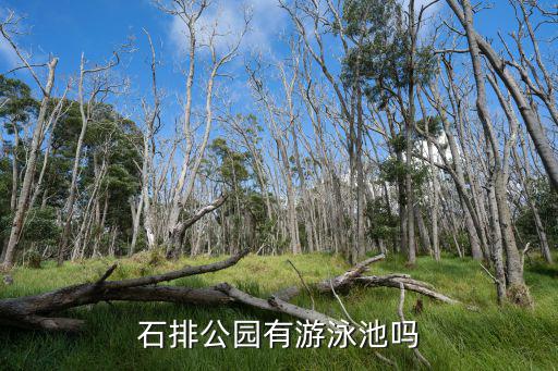 石排公園有游泳池嗎