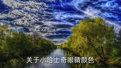 哈士奇眼白多少，關(guān)于小哈士奇眼睛顏色