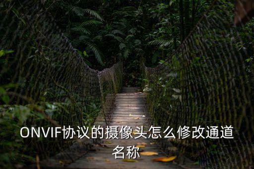 怎么改監控通道名稱，ONVIF協議的攝像頭怎么修改通道名稱