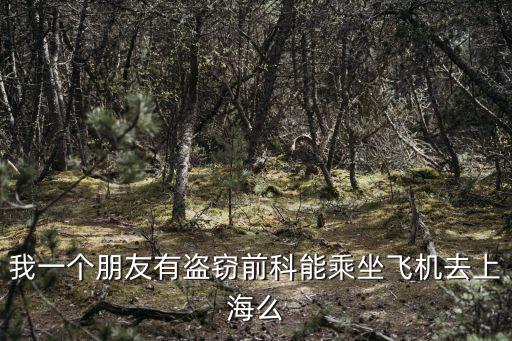 上海市通緝令名單，我一個朋友有盜竊前科能乘坐飛機去上海么