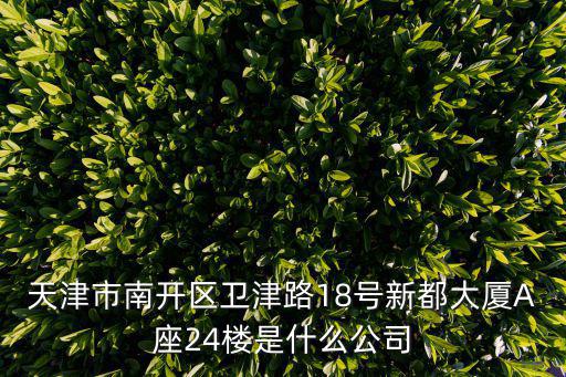 天津市南開(kāi)區(qū)衛(wèi)津路18號(hào)新都大廈A座24樓是什么公司