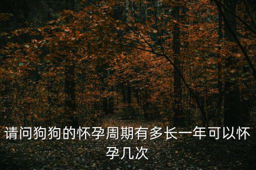 請問狗狗的懷孕周期有多長一年可以懷孕幾次