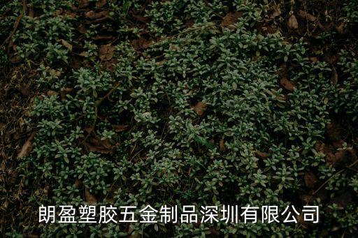 朗盈塑膠五金制品深圳有限公司