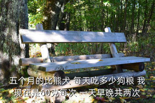 五個月的比熊犬 每天吃多少狗糧 我現在是60克每次 一天早晚共兩次