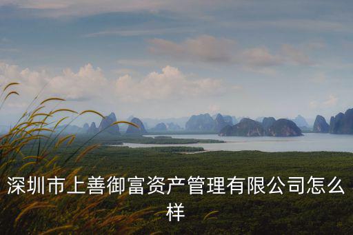 深圳市上善御富資產管理有限公司怎么樣