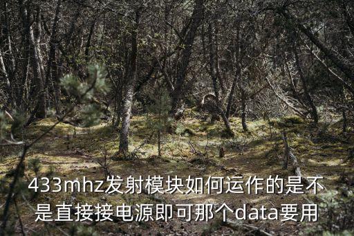 433mhz發射模塊如何運作的是不是直接接電源即可那個data要用