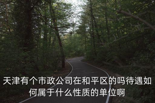 天津有個市政公司在和平區的嗎待遇如何屬于什么性質的單位啊
