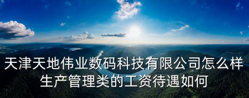 天津天地偉業數碼科技有限公司怎么樣生產管理類的工資待遇如何