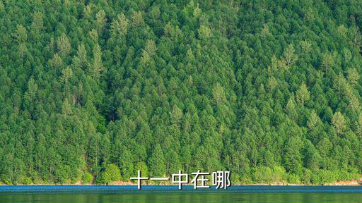 上海市11中學(xué)地址在哪，十一中在哪
