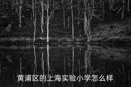 上海市新黃浦實驗學校怎么樣登記，上海新黃浦實驗學校