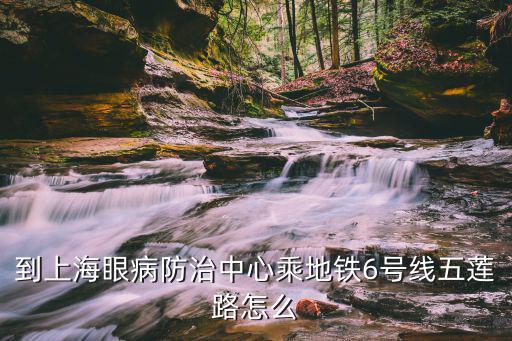 到上海眼病防治中心乘地鐵6號線五蓮路怎么