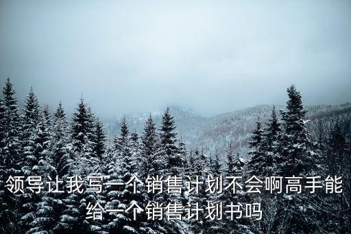 領(lǐng)導(dǎo)讓我寫(xiě)一個(gè)銷售計(jì)劃不會(huì)啊高手能給一個(gè)銷售計(jì)劃書(shū)嗎