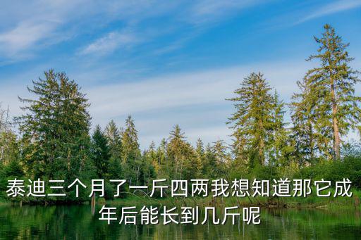 泰迪三個月了一斤四兩我想知道那它成年后能長到幾斤呢