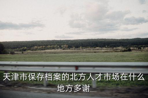 天津市保存檔案的北方人才市場在什么地方多謝