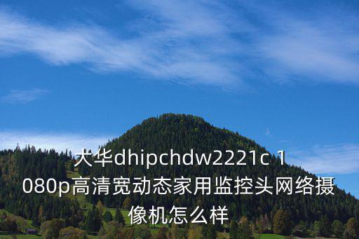 大華dhipchdw2221c 1080p高清寬動(dòng)態(tài)家用監(jiān)控頭網(wǎng)絡(luò)攝像機(jī)怎么樣