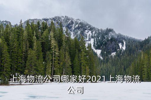 上海物流公司哪家好2021上海物流公司