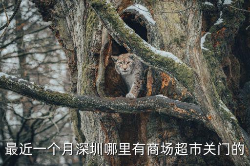 最近一個月深圳哪里有商場超市關門的