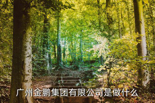 廣州金鵬集團(tuán)有限公司是做什么