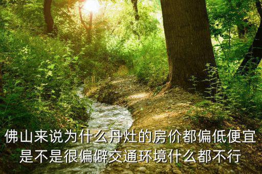 佛山來說為什么丹灶的房價都偏低便宜是不是很偏僻交通環境什么都不行